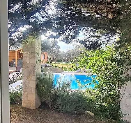 Bir Dem Urla