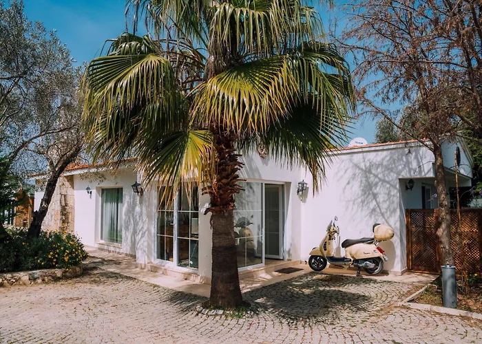 Bir Dem * אורלה